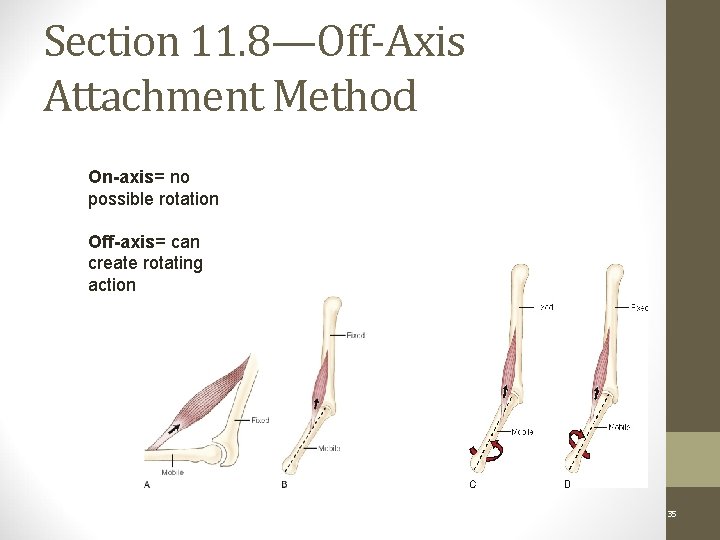 Section 11. 8—Off-Axis Attachment Method On-Axis On-axis= no Attachment: possible rotation Off-axis= can create