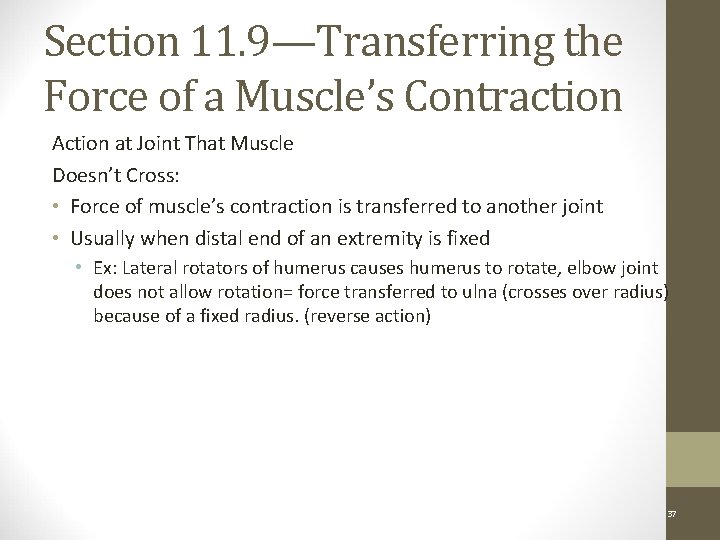 Section 11. 9—Transferring the Force of a Muscle’s Contraction Action at Joint That Muscle