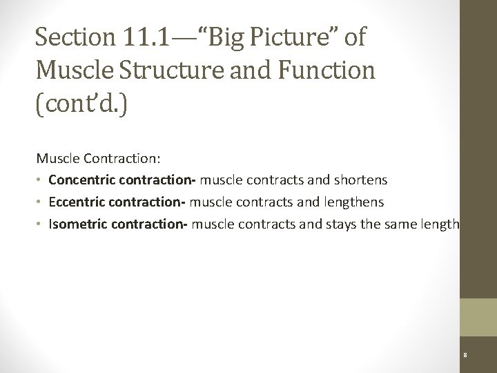 Section 11. 1—“Big Picture” of Muscle Structure and Function (cont’d. ) Muscle Contraction: •