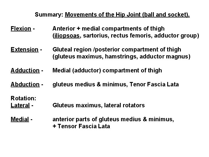 Summary: Movements of the Hip Joint (ball and socket). Flexion - Anterior + medial