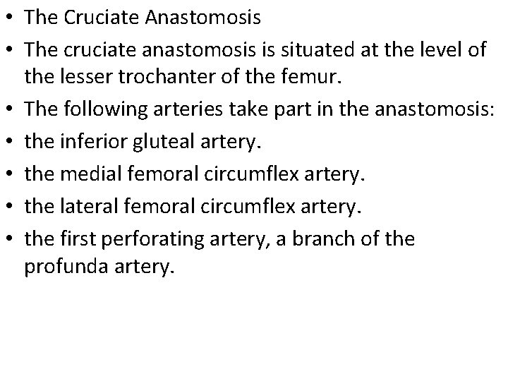  • The Cruciate Anastomosis • The cruciate anastomosis is situated at the level