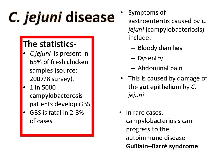 C. jejuni disease The statistics- • C. jejuni is present in 65% of fresh