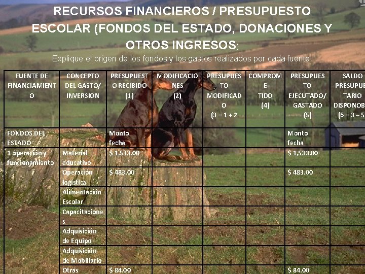 RECURSOS FINANCIEROS / PRESUPUESTO ESCOLAR (FONDOS DEL ESTADO, DONACIONES Y OTROS INGRESOS) Explique el