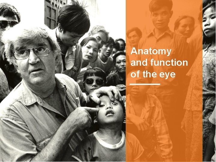 Anatomy and function of the eye 