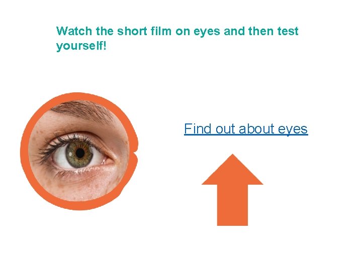 Watch the short film on eyes and then test yourself! Find out about eyes
