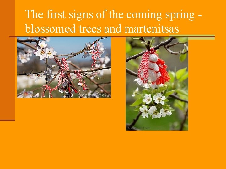 The first signs of the coming spring blossomed trees and martenitsas 