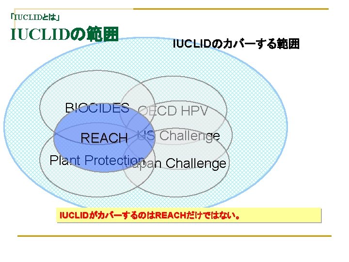 「IUCLIDとは」 IUCLIDの範囲 IUCLIDのカバーする範囲 BIOCIDES OECD HPV REACH US Challenge Plant Protection Japan Challenge IUCLIDがカバーするのはREACHだけではない。