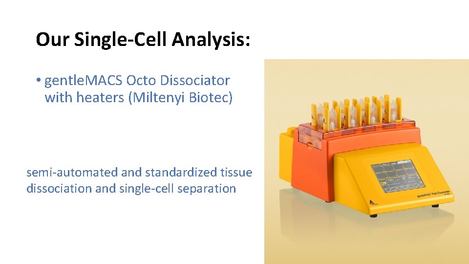 Our Single-Cell Analysis: • gentle. MACS Octo Dissociator with heaters (Miltenyi Biotec) semi-automated and