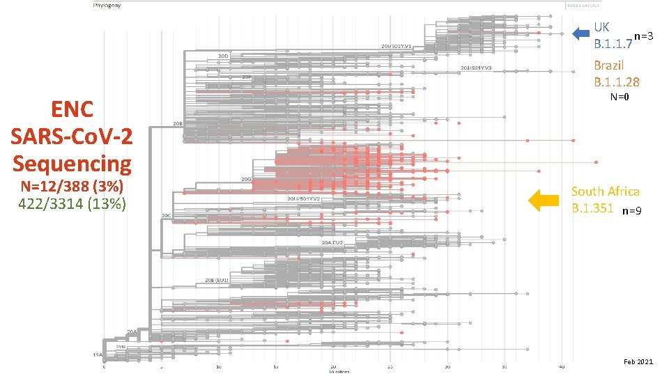 UK n=3 B. 1. 1. 7 Brazil B. 1. 1. 28 ENC SARS-Co. V-2