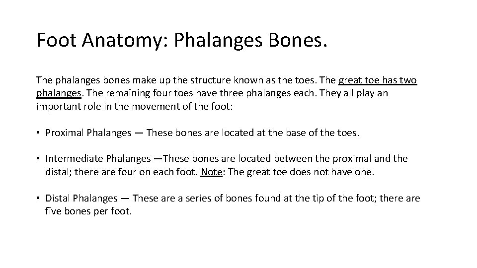 Foot Anatomy: Phalanges Bones. The phalanges bones make up the structure known as the