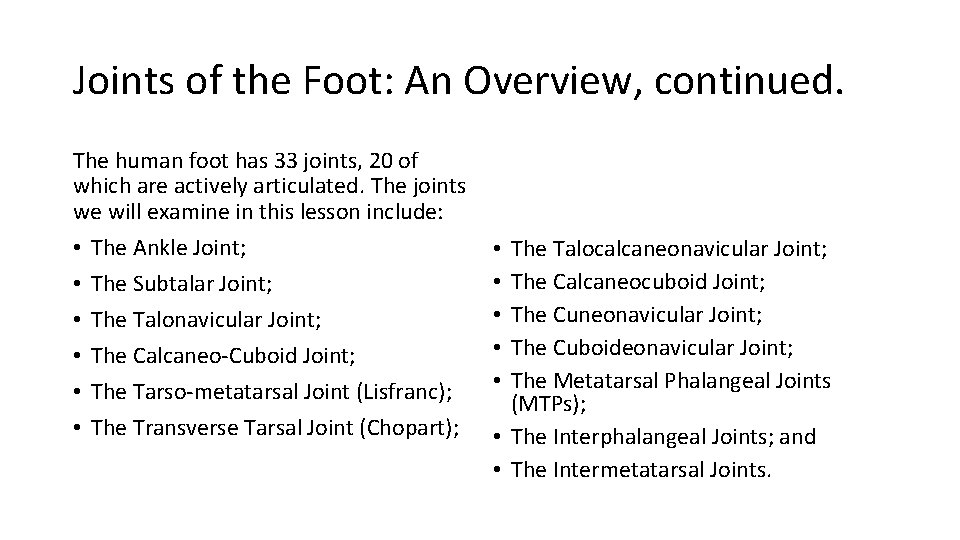 Joints of the Foot: An Overview, continued. The human foot has 33 joints, 20 Joints of the Foot: An Overview, continued. The human foot has 33 joints, 20