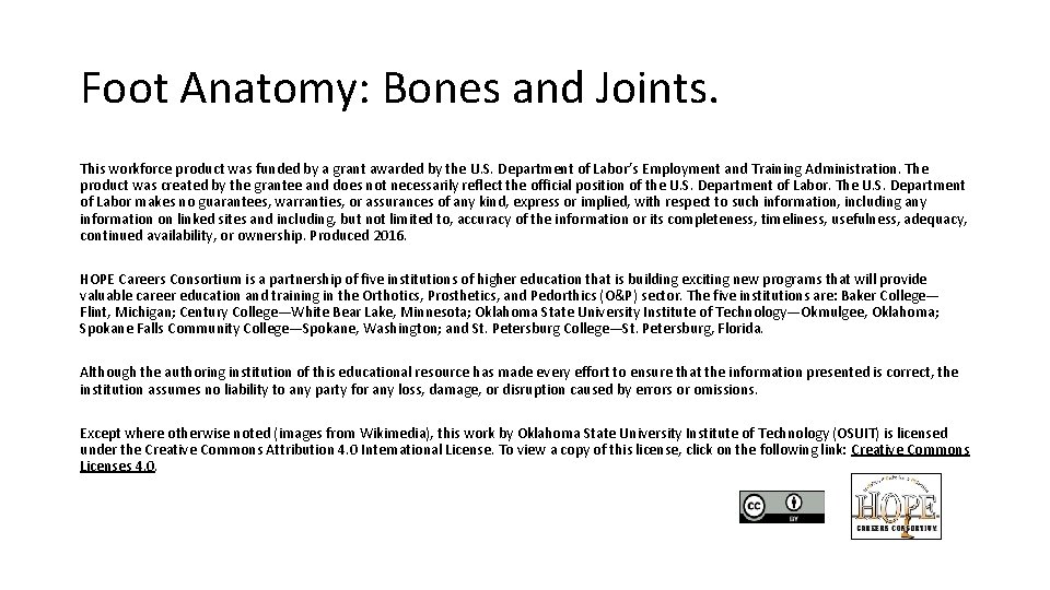 Foot Anatomy: Bones and Joints. This workforce product was funded by a grant awarded