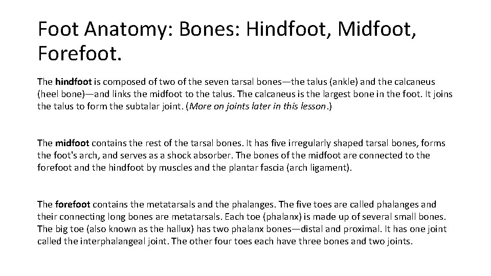 Foot Anatomy: Bones: Hindfoot, Midfoot, Forefoot. The hindfoot is composed of two of the