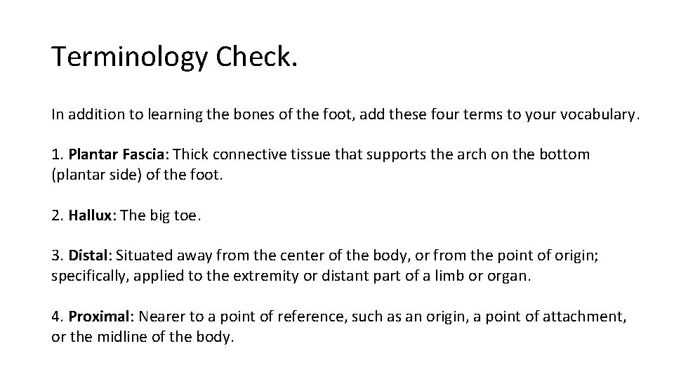 Terminology Check. In addition to learning the bones of the foot, add these four Terminology Check. In addition to learning the bones of the foot, add these four