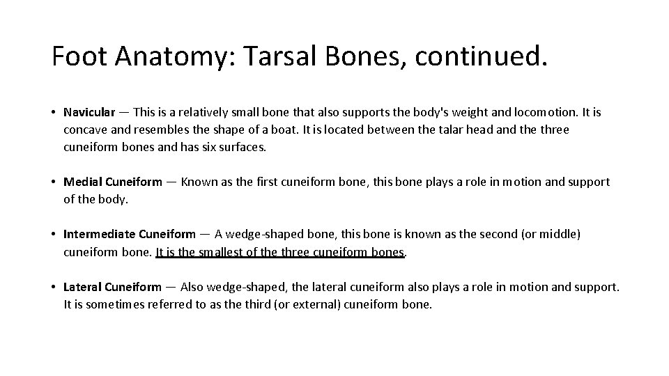 Foot Anatomy: Tarsal Bones, continued. • Navicular — This is a relatively small bone