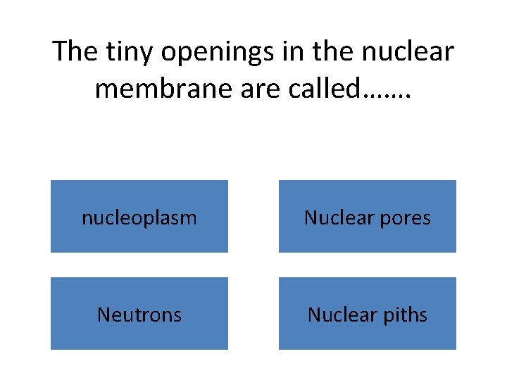 The tiny openings in the nuclear membrane are called……. nucleoplasm Nuclear pores Neutrons Nuclear