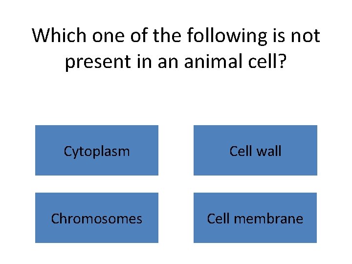 Which one of the following is not present in an animal cell? Cytoplasm Cell