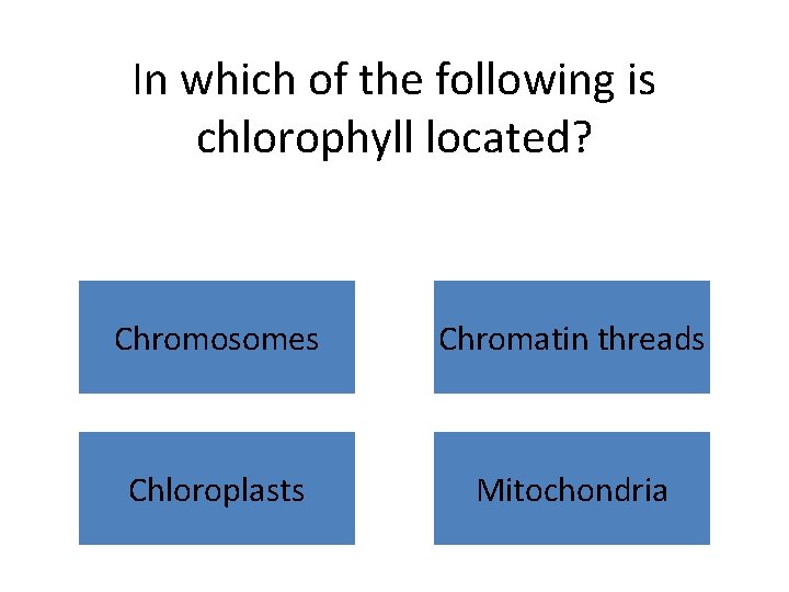 In which of the following is chlorophyll located? Chromosomes Chromatin threads Chloroplasts Mitochondria 