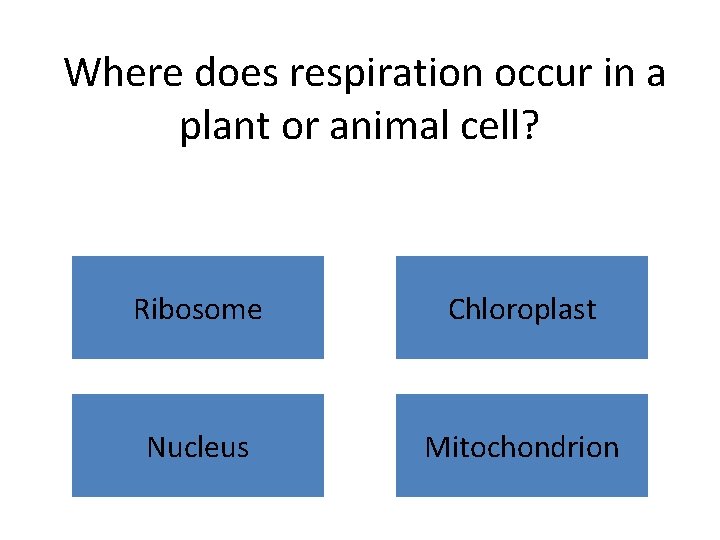 Where does respiration occur in a plant or animal cell? Ribosome Chloroplast Nucleus Mitochondrion