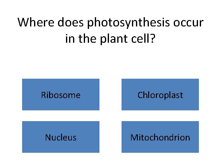 Where does photosynthesis occur in the plant cell? Ribosome Chloroplast Nucleus Mitochondrion 