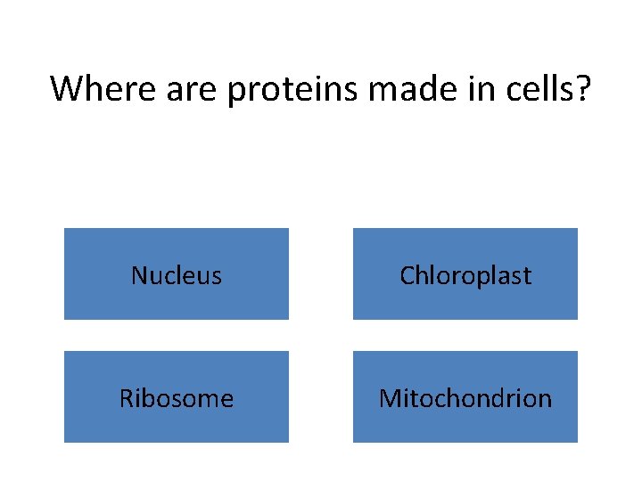 Where are proteins made in cells? Nucleus Chloroplast Ribosome Mitochondrion 