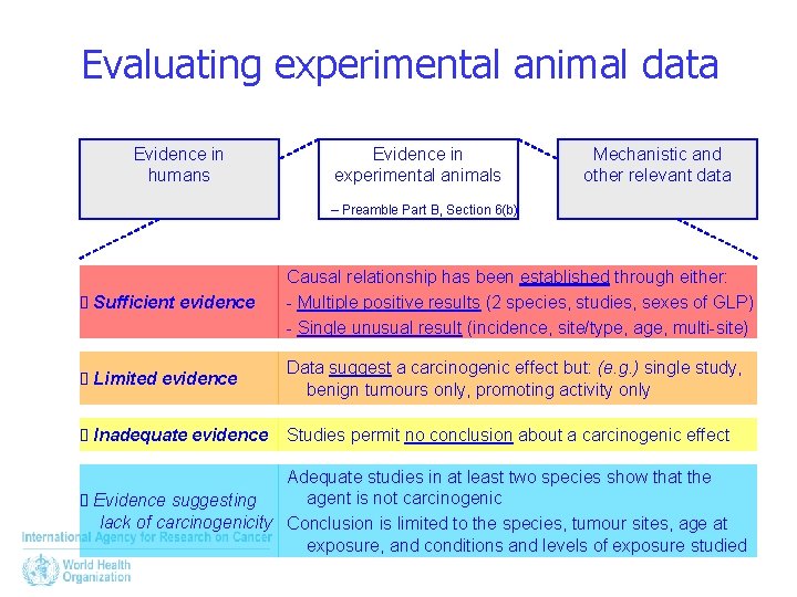 Evaluating experimental animal data Evidence in humans Evidence in experimental animals Mechanistic and other
