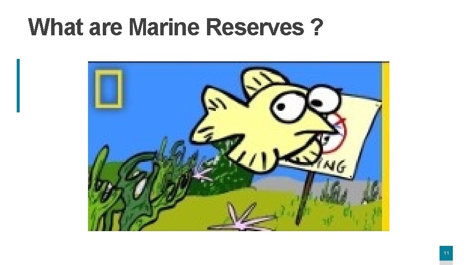 What are Marine Reserves ? 11 