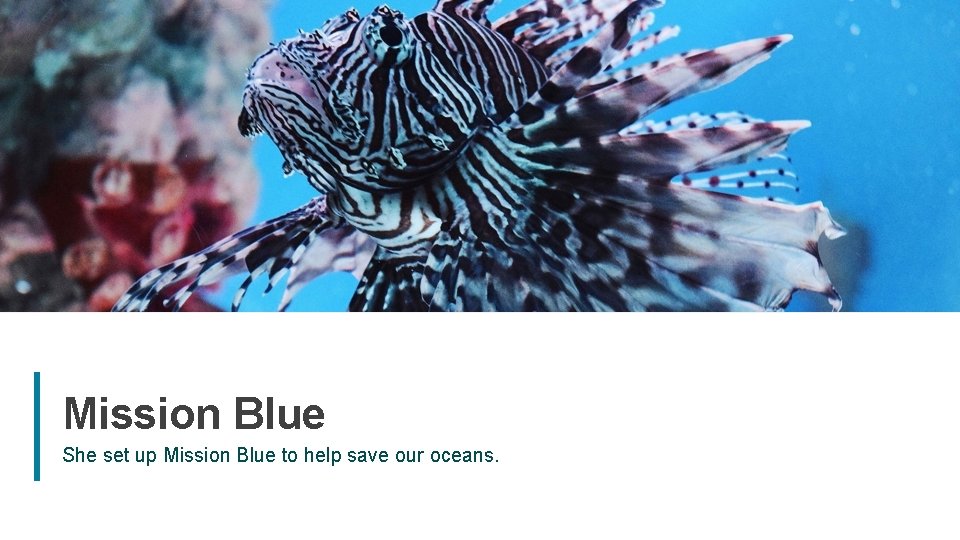 Mission Blue She set up Mission Blue to help save our oceans. 7 