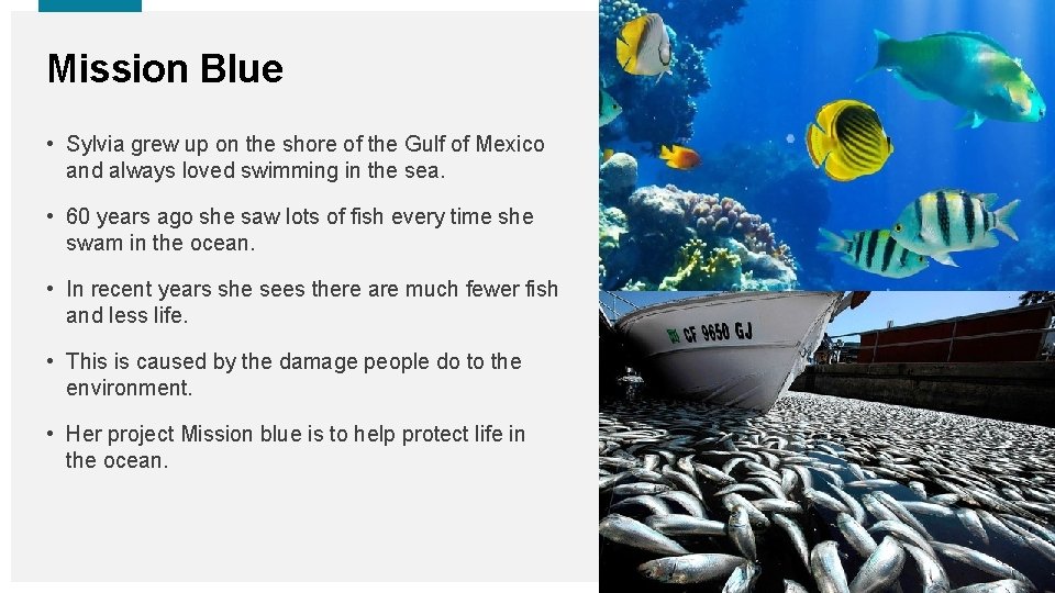 Mission Blue • Sylvia grew up on the shore of the Gulf of Mexico