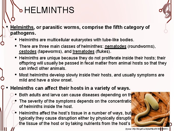 HELMINTHS • Helminths, or parasitic worms, comprise the fifth category of pathogens. • •