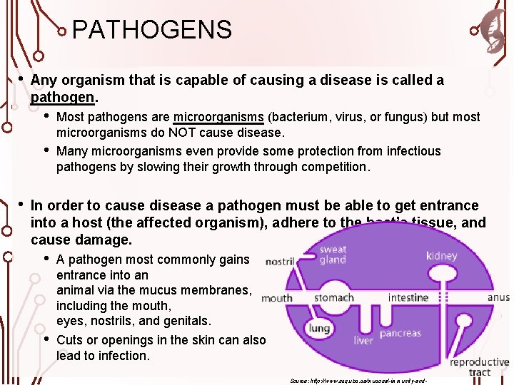 PATHOGENS • Any organism that is capable of causing a disease is called a