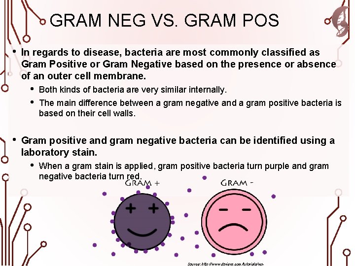 GRAM NEG VS. GRAM POS • In regards to disease, bacteria are most commonly