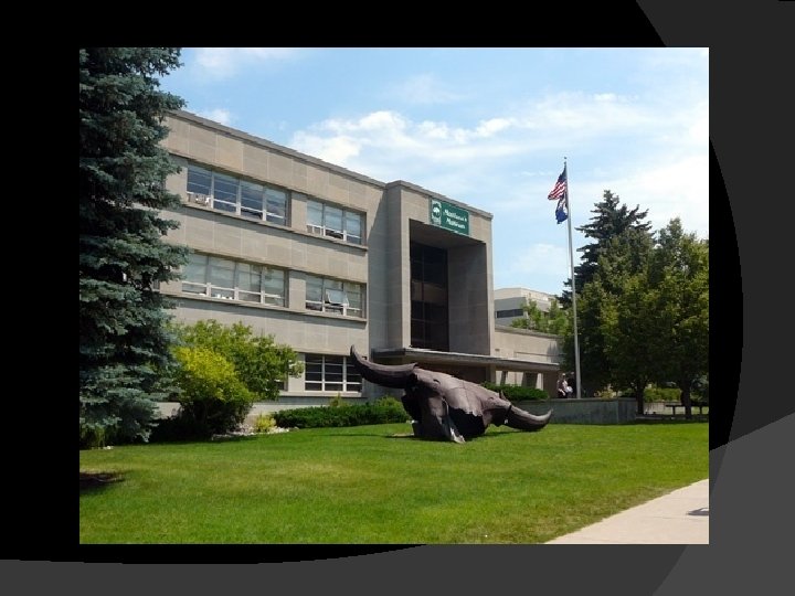 Boiling Stones and Bison Bones Appropriate for grades