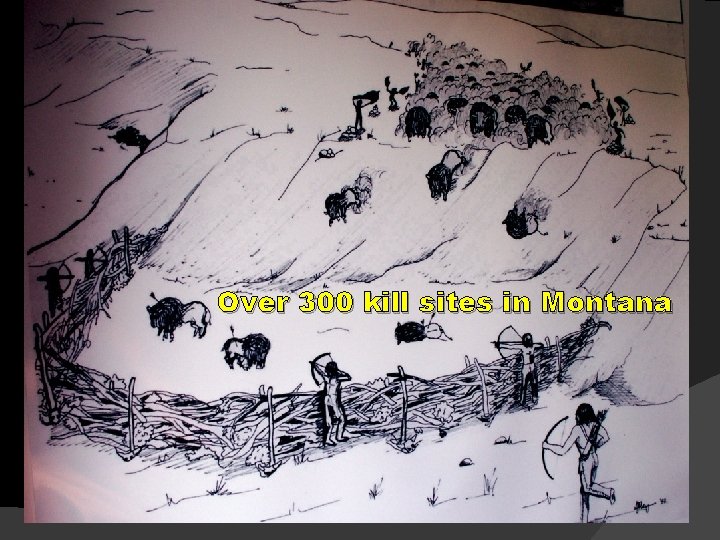 Boiling Stones and Bison Bones Appropriate for grades