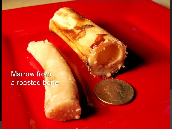 Boiling Stones and Bison Bones Appropriate for grades