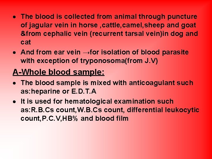  The blood is collected from animal through puncture of jagular vein in horse
