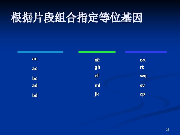 根据片段组合指定等位基因 ac ef ac ox ac gh rt ef wq ad ml sv bd