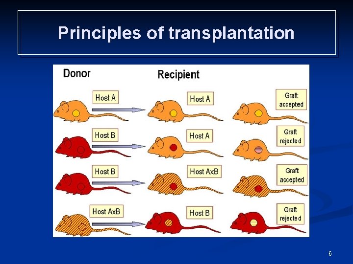 Principles of transplantation 6 