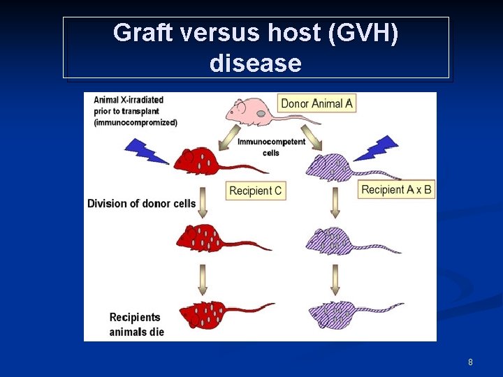 Graft versus host (GVH) disease 8 