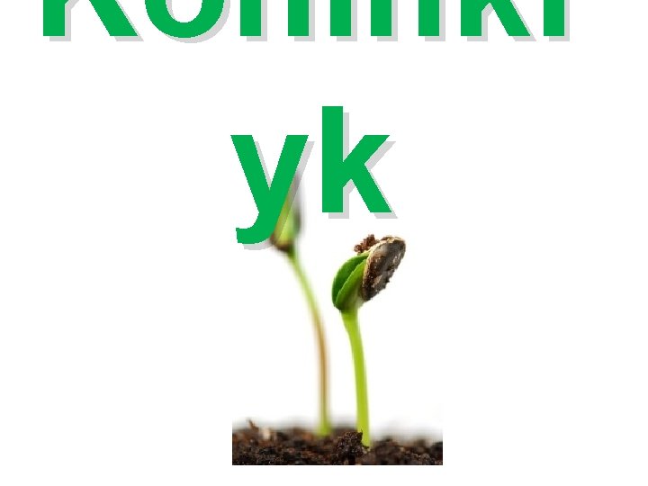 Koninkr yk 