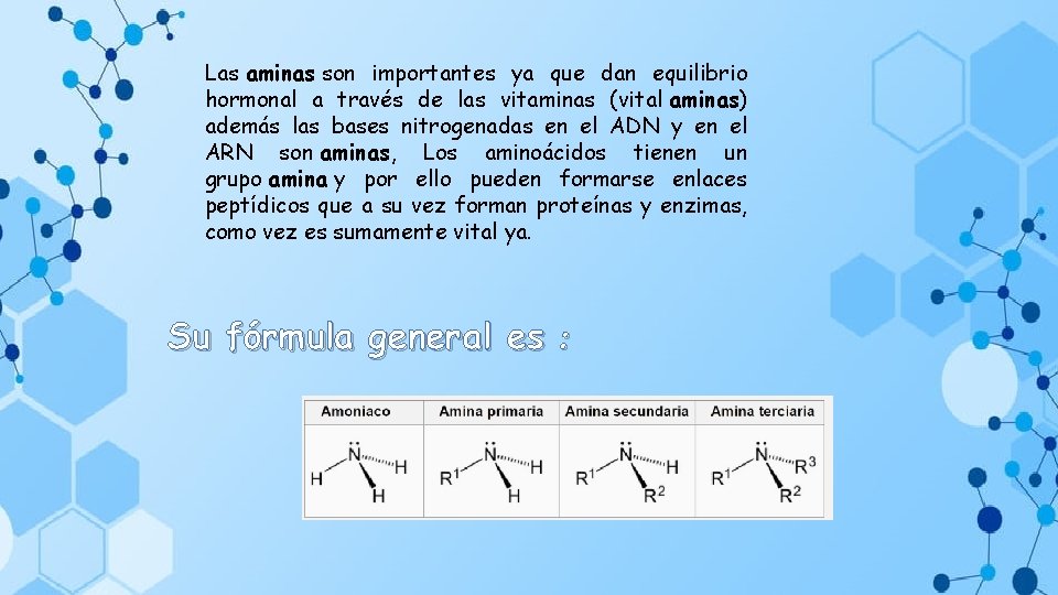 Las aminas son importantes ya que dan equilibrio hormonal a través de las vitaminas