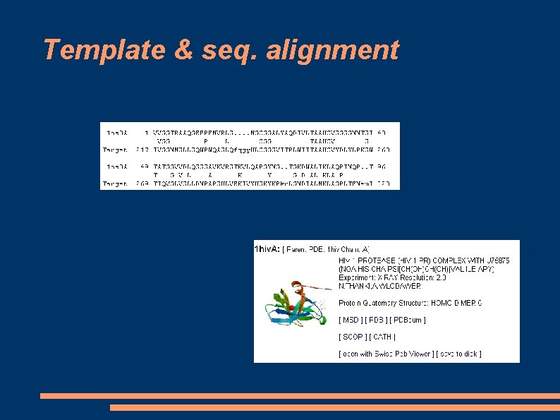 Template & seq. alignment Template & seq. alignment