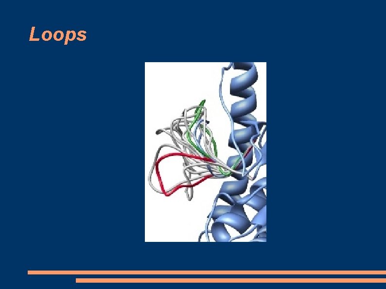 Loops Loops