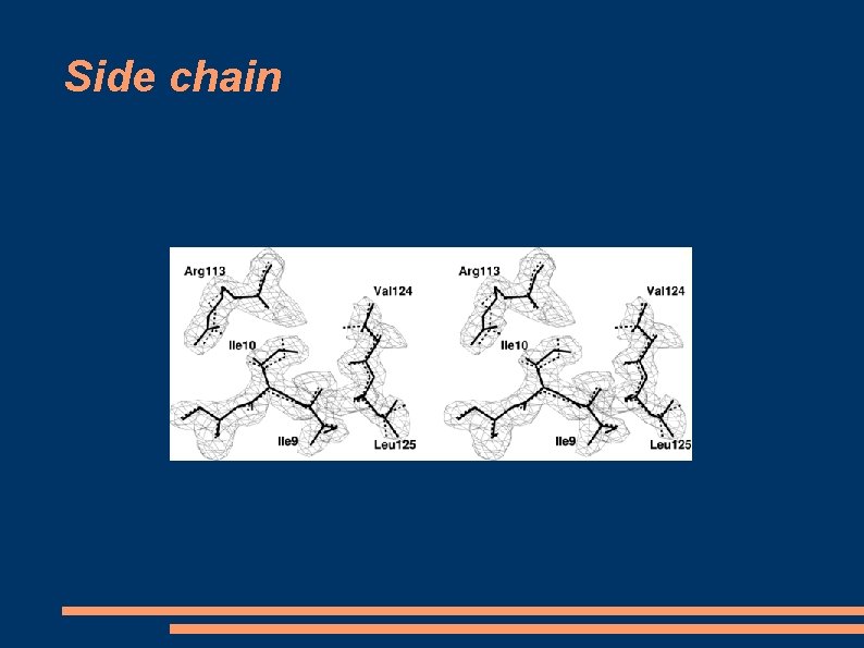 Side chain Side chain