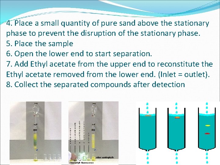 4. Place a small quantity of pure sand above the stationary phase to prevent