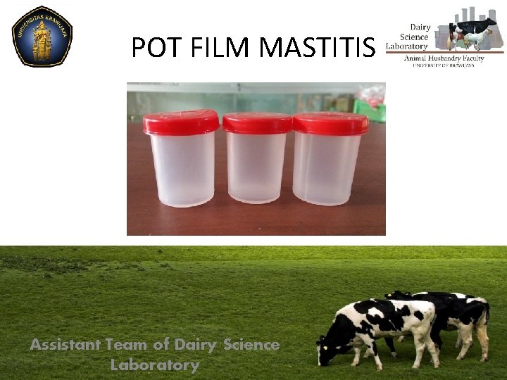 POT FILM MASTITIS Assistant Team of Dairy Science Laboratory 