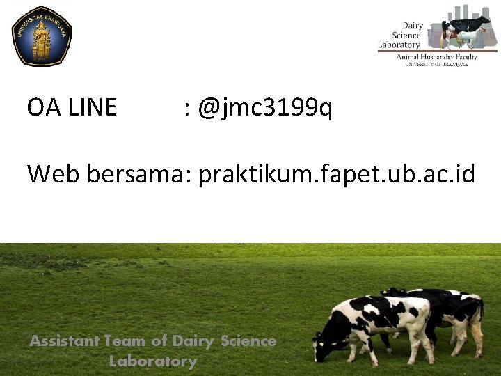 OA LINE : @jmc 3199 q Web bersama: praktikum. fapet. ub. ac. id Assistant