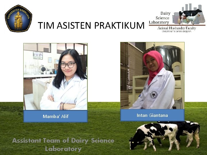 TIM ASISTEN PRAKTIKUM Mamba’ Alif Assistant Team of Dairy Science Laboratory Intan Giantana 