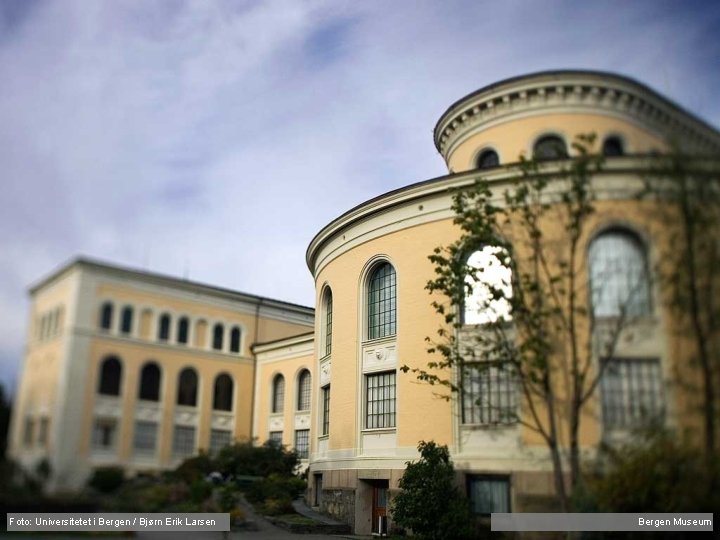 Foto: Universitetet i Bergen / Bjørn Erik Larsen Bergen Museum 