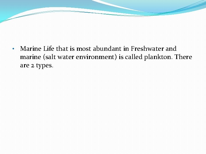  • Marine Life that is most abundant in Freshwater and marine (salt water